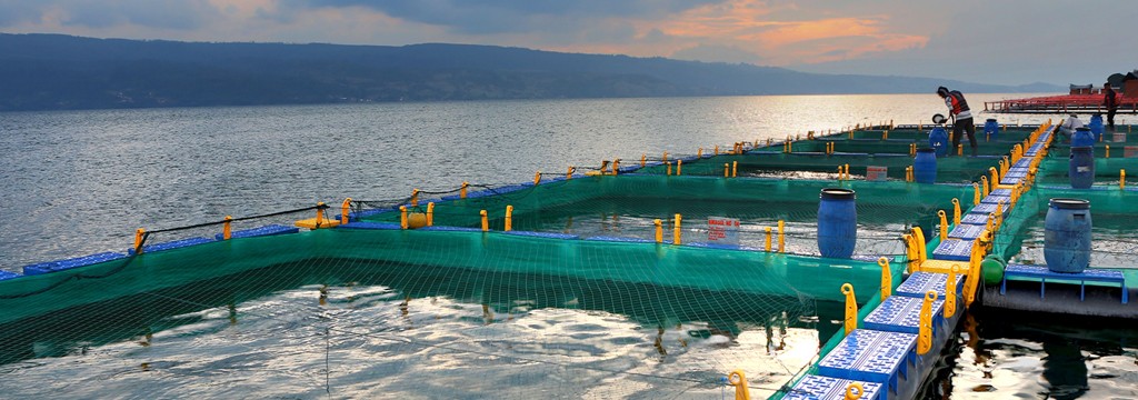 Aquaculture Overview