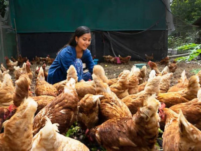 Mitra Pangan: Definisi, Manfaat, dan Peluang Kemitraan