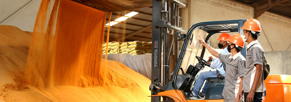 Poultry Feed